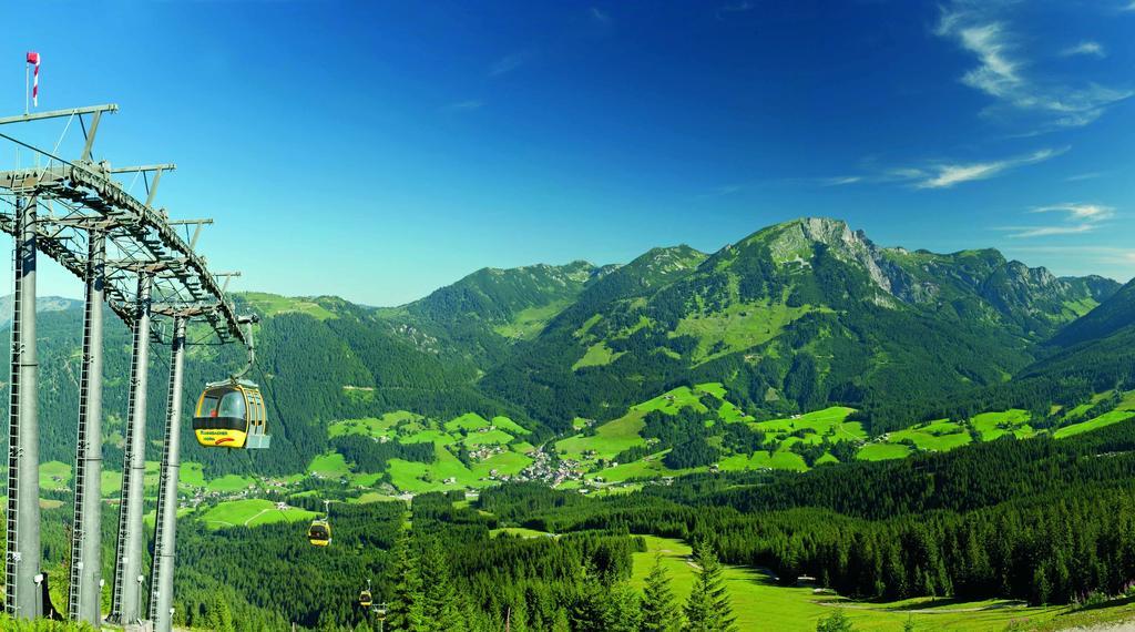 Pension Elisabeth Russbach am Pass Gschütt Buitenkant foto